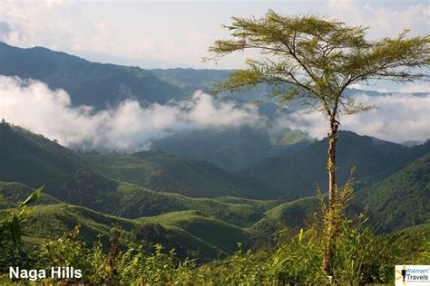 Naga Hills .